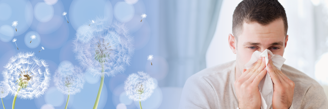 Hay Fever & Seasonal Allergies